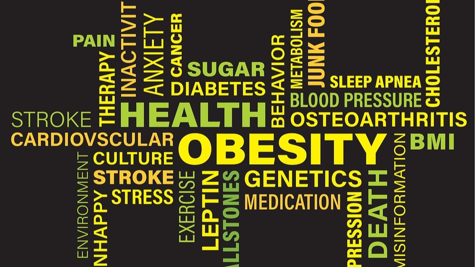 Freedom from Excess Body Weight and Obesity – Diet Tips
