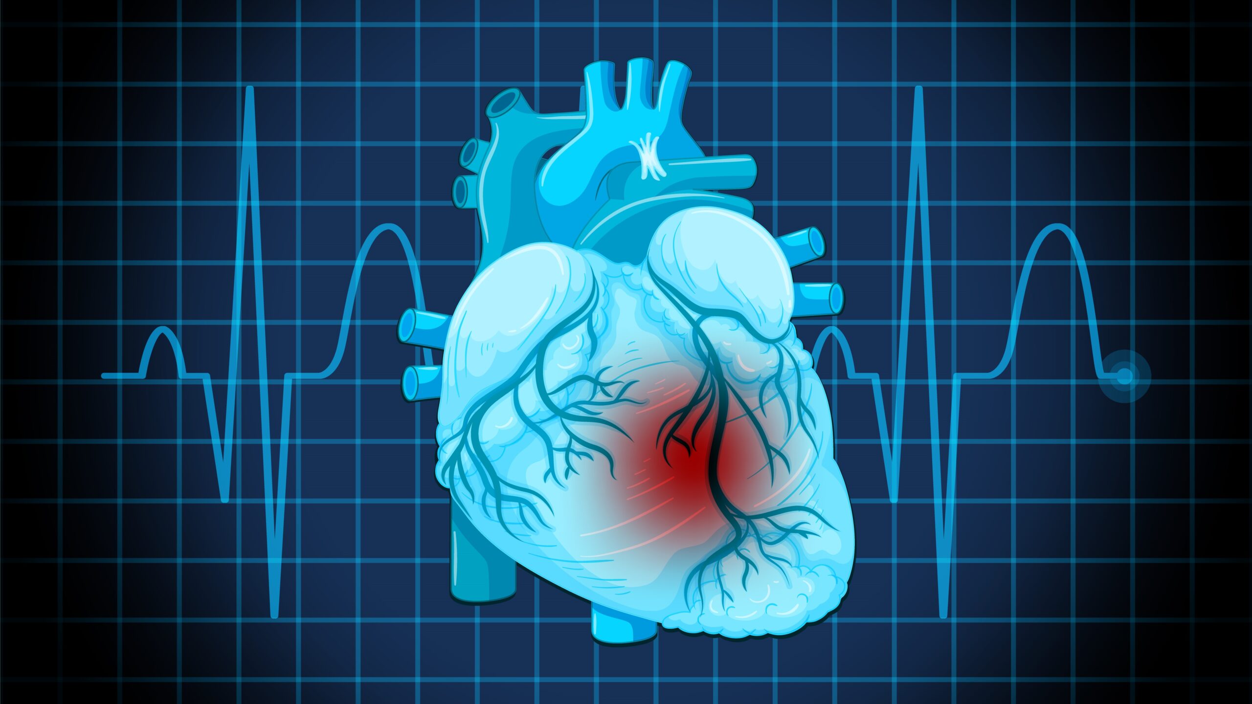 Heart Valve Diseases: Causes, Symptoms and Treatment